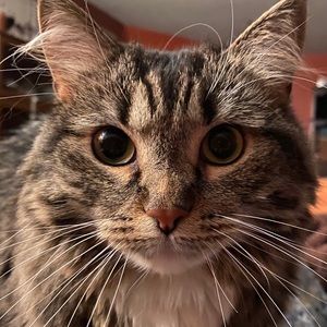 Meet your Posher, Sherry